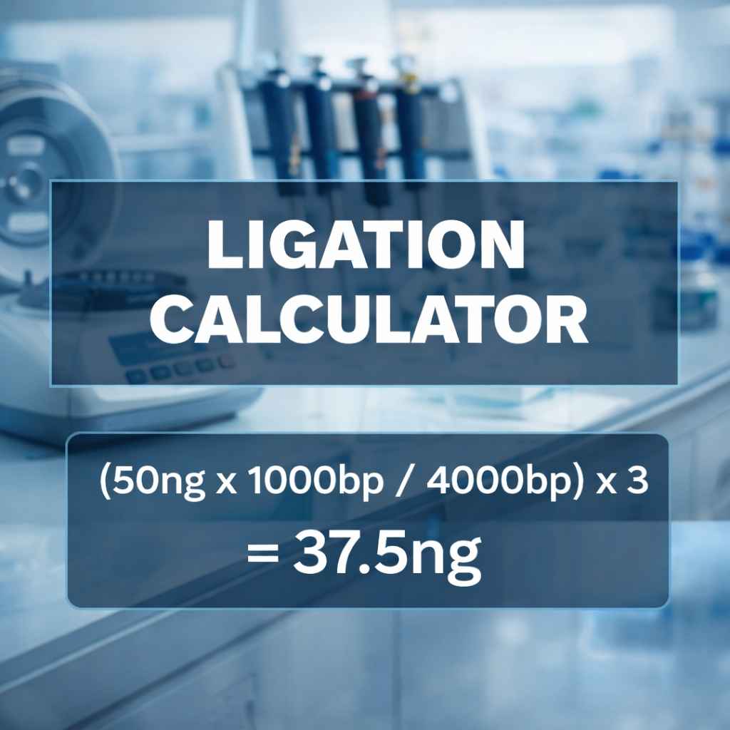 Ligation Calculator